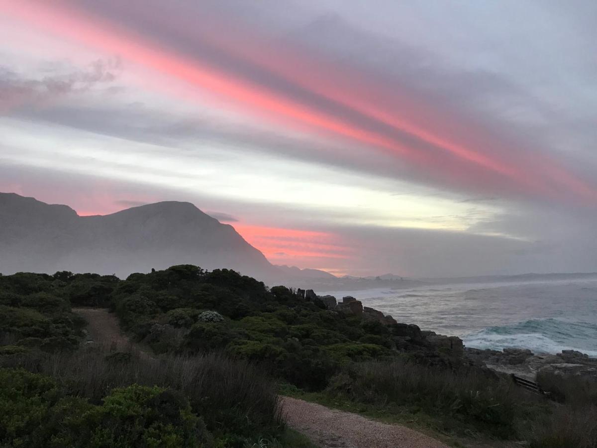 Milkwood Lodge Hermanus Exteriör bild