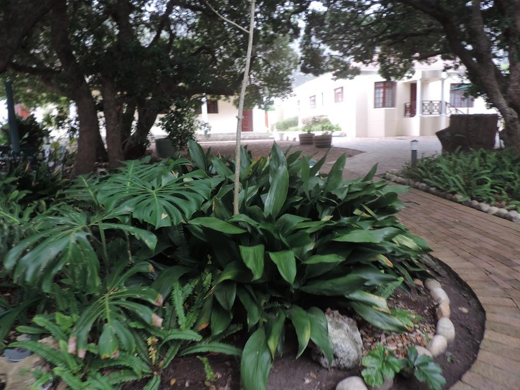 Milkwood Lodge Hermanus Exteriör bild