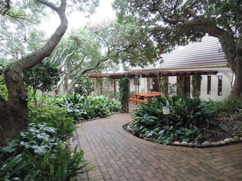 Milkwood Lodge Hermanus Exteriör bild